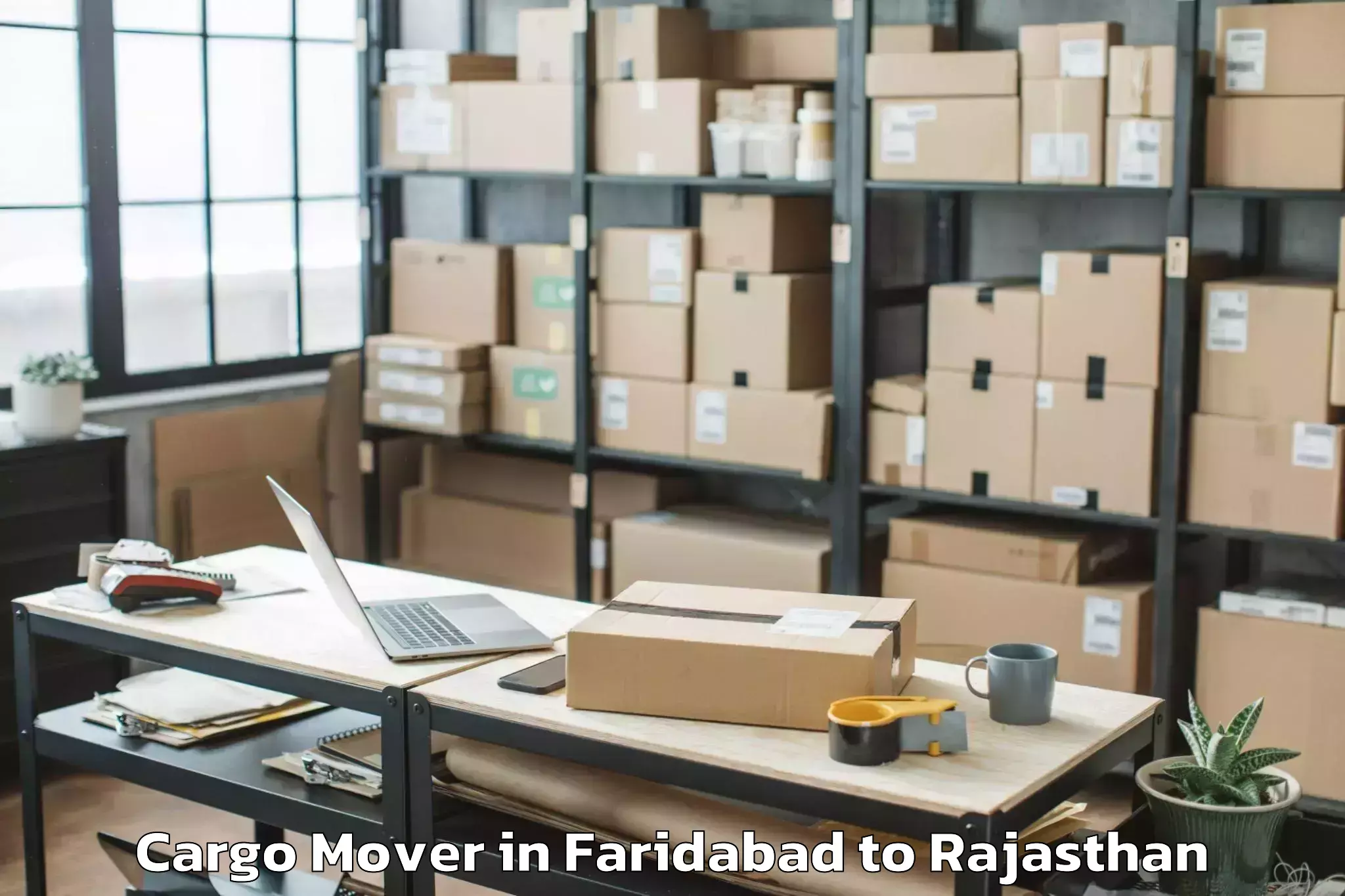 Leading Faridabad to Deoli Cargo Mover Provider